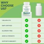 High Strength Vegan Probiotic Capsules for Gut Health