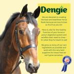 Dengie Alfalfa Pellets for Horses and Livestock