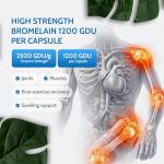 Bromelain 2500 GDU Capsules for Digestion Support
