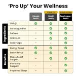 High-Potency Pure Himalayan Shilajit Resin 400mg