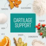 High Strength Glucosamine & Chondroitin Joint Support