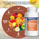 Vegan Multivitamin with Vitamin C - 360 Tablets