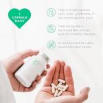 High Strength Vitamin B Complex - 90 Capsules