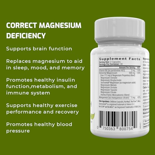 Bioptimizers Magnesium Breakthrough - 60 Capsules