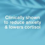 Dr. Vegan Daily Ashwagandha KSM-66 500mg, 30 Caps