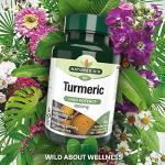 Nature's Aid High Potency Turmeric Capsules, 60 Count