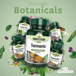 Nature's Aid High Potency Turmeric Capsules, 60 Count