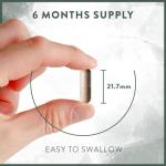 Ginkgo Biloba & Ginseng for Memory and Energy