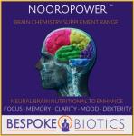 Ginkgo Biloba Brain Support Supplement - 90 Vegan Caps