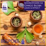 Ginkgo Biloba Brain Support Supplement - 90 Vegan Caps