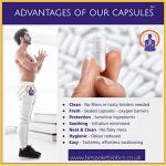 Ginkgo Biloba Brain Support Supplement - 90 Vegan Caps