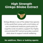 Ginkgo Biloba 6000mg - High Strength Extract