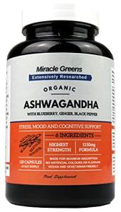 Max Strength Organic Ashwagandha with Blueberry & Turmeric