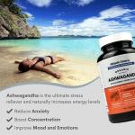 Max Strength Organic Ashwagandha with Blueberry & Turmeric