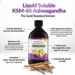 Ashwagandha Liquid with Turmeric and Probiotics