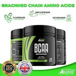BCAA Amino Acid Support Capsules - 240 Count