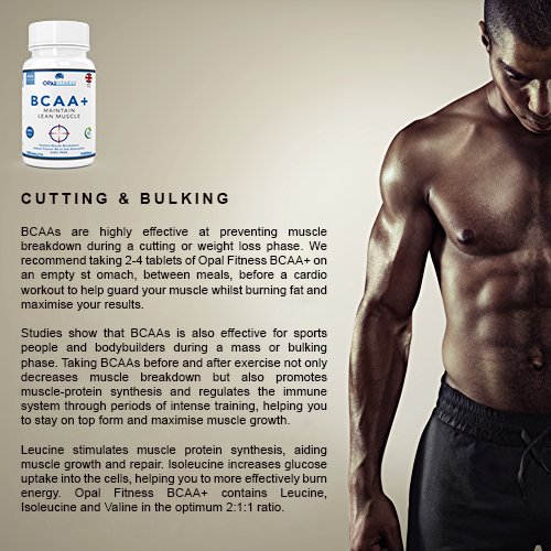 Vegan BCAA Tablets with Vitamin B6 - 120 Count