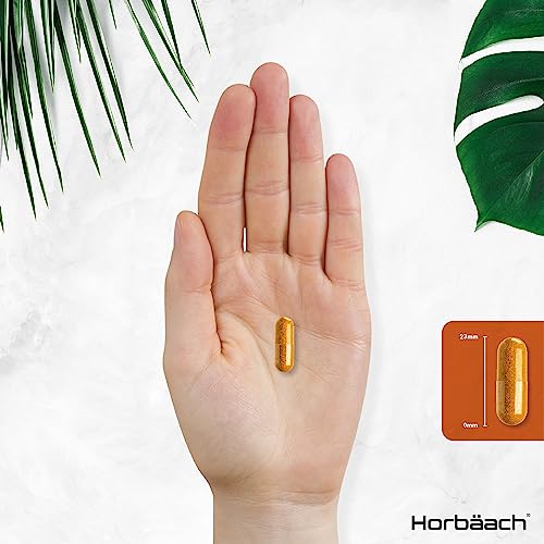 High Strength Organic Turmeric Black Pepper Capsules