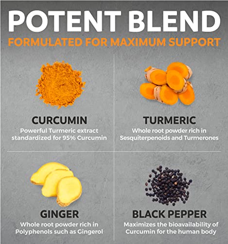 Organic Turmeric Curcumin with Black Pepper & Ginger