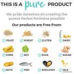 Organic Turmeric Curcumin with Black Pepper & Ginger