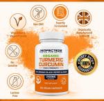 Organic Turmeric Curcumin with Black Pepper & Ginger