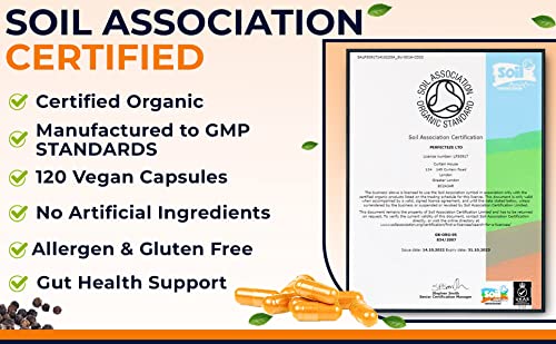 Organic Turmeric Curcumin with Black Pepper & Ginger