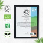 High Strength Organic Turmeric & Black Pepper Capsules