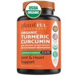 Organic Turmeric with Black Pepper - 120 Tablets