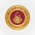 Max Strength Omega-3 Fish Oil + Vitamin D