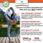 Turmeric Curcumin with Bioperine - 200 Capsules