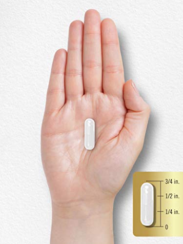 Carlyle L Glutamine Capsules 1500mg 240 Count