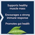 Life Extension L-Glutamine 100 Capsules