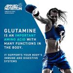 Applied Nutrition L-Glutamine Powder, Unflavored 500g