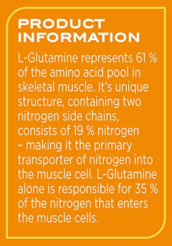 Reflex Nutrition L-Glutamine Powder 500g