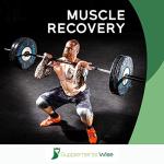 L-Glutamine Capsules for Muscle Recovery and Gut Health