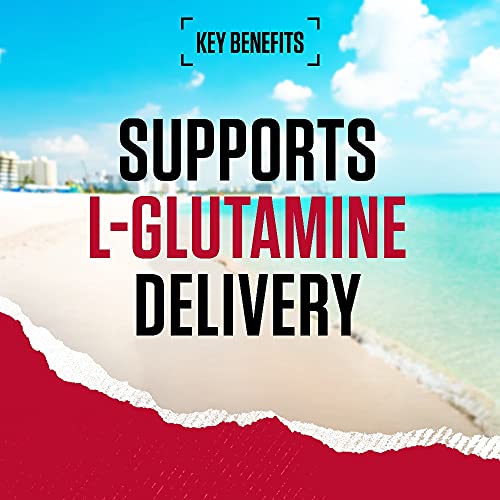 BSN DNA Unflavored L-Glutamine Powder - 309g