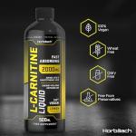 High Strength L-Carnitine Liquid 2000mg - Lemon Flavor
