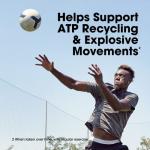 Optimum Nutrition Micronized Creatine 2500mg