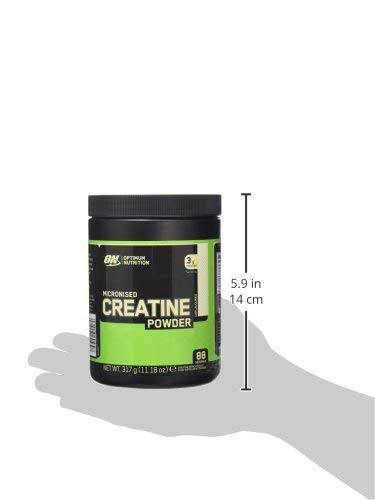 Optimum Nutrition Micronized Creatine 317g