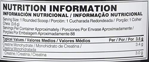 Optimum Nutrition Micronized Creatine 317g