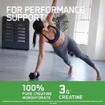 Optimum Nutrition Pure Micronized Creatine Powder