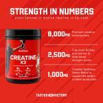 Fruit Punch Creatine X3 BCAA Powder, 30 Servings