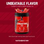 Fruit Punch Creatine X3 BCAA Powder, 30 Servings