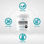 Pure Micronized Creatine Monohydrate Powder, 600g
