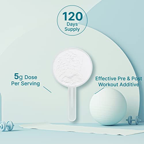 Pure Micronized Creatine Monohydrate Powder, 600g