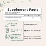 Pure Micronized Creatine Monohydrate Powder 500g