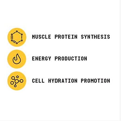Beyond Raw Creatine HCl Powder for Muscle Performance