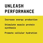 Beyond Raw Creatine HCl Powder for Muscle Performance