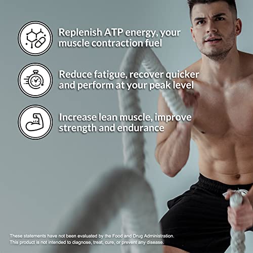 Pure Micronized Creatine Monohydrate - 500g