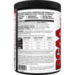 EVLution Nutrition BCAA Energy Fruit Punch 10.16 oz